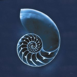 Sue Schlabach - Cyanotype Sea II