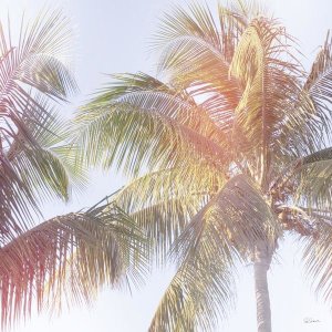 Sue Schlabach - Dream Palm III