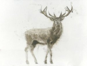 James Wiens - Stag