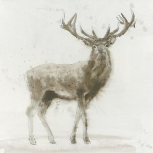 James Wiens - Stag v.2