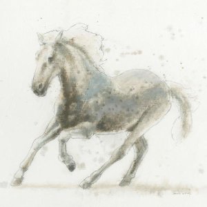 James Wiens - Stallion II