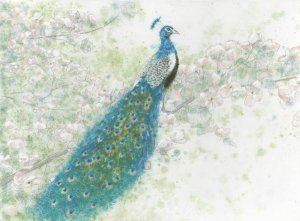 James Wiens - Spring Peacock I