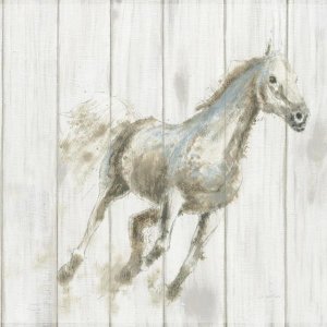 James Wiens - Stallion I on Birch