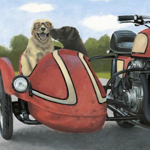 James Wiens - Born to be Wild