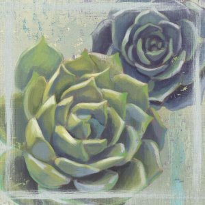 Wellington Studio - Succulents I