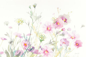 Danhui Nai - Queen Annes Lace and Cosmos on White