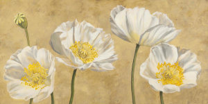 Luca Villa - Poppies on Gold