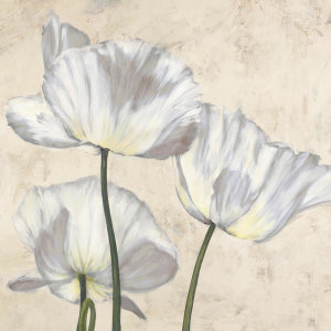 Luca Villa - Poppies in White II