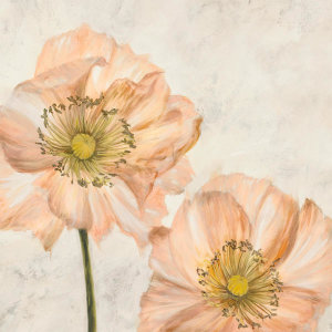 Luca Villa - Poppies in Pink I