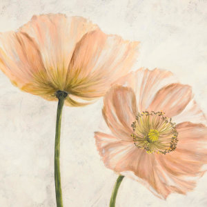 Luca Villa - Poppies in Pink II