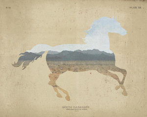 Wild Apple Portfolio - American Southwest Horse Distressed