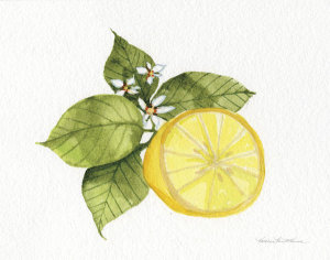 Kathleen Parr McKenna - Citrus Garden IX