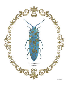 James Wiens - Adorning Coleoptera VIII