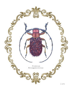 James Wiens - Adorning Coleoptera II