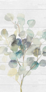 Danhui Nai - Eucalyptus III on Shiplap Crop