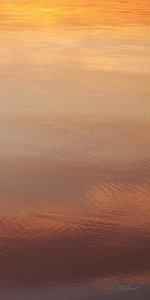 Laura Marshall - Kalaloch Reflections III
