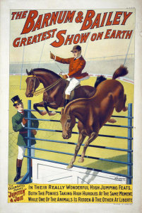 Hollywood Photo Archive - The Barnum & Bailey Greatest Show On Earth--The Celebrated Ponies Jupite & Joie