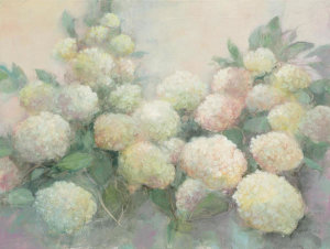 Julia Purinton - Annabelle Hydrangeas