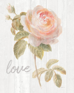 Danhui Nai - Garden Rose on Wood Love