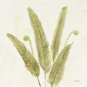 Albena Hristova - Forest Ferns II v2