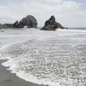 Alan Majchrowicz - Harris Beach Oregon Crop