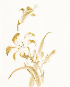 Chris Paschke - Sumi Daylily II Gold