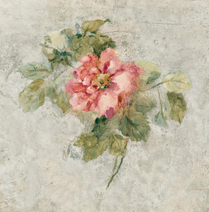 Cheri Blum - Provence Rose II Red and Neutral