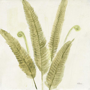 Albena Hristova - Forest Ferns II