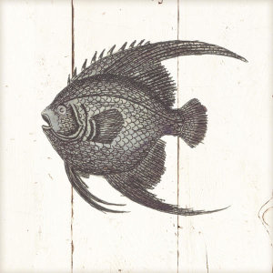 Wild Apple Portfolio - Fish Sketches IV Shiplap