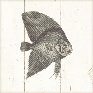 Wild Apple Portfolio - Fish Sketches III Shiplap