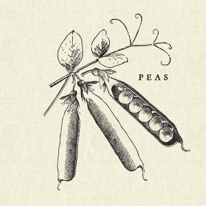 Studio Mousseau - Linen Vegetable BW Sketch Peas