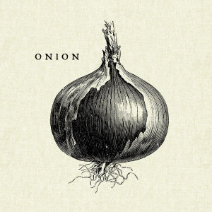 Studio Mousseau - Linen Vegetable BW Sketch Onion