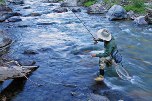 Vic Schendel - Beaver Creek Wading