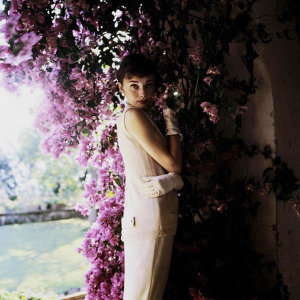 Hollywood Photo Archive - Audrey Hepburn