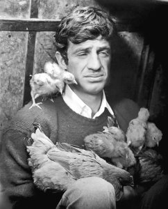 Hollywood Photo Archive - Jean Paul Belmondo