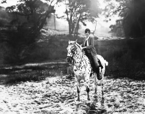 Hollywood Photo Archive - Mary Astor