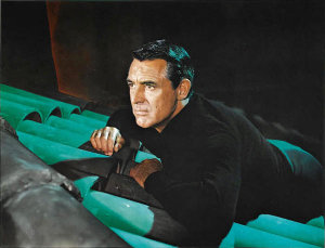 Hollywood Photo Archive - Cary Grant - To Catch A Thief