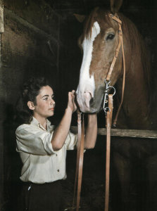 Hollywood Photo Archive - National Velvet - Elizabeth Taylor