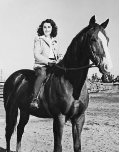 Hollywood Photo Archive - National Velvet - Elizabeth Taylor