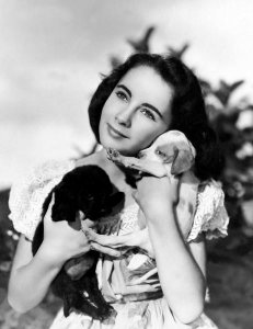 Hollywood Photo Archive - Elizabeth Taylor with puppies