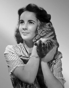Hollywood Photo Archive - Elizabeth Taylor with kitten