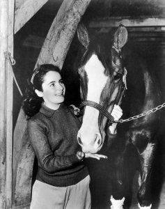 Hollywood Photo Archive - National Velvet - Elizabeth Taylor