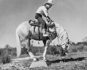 Hollywood Photo Archive - Roy Rogers