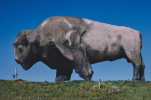 John Margolies - World's largest buffalo (46' long, 26' high, 60 tons), Jamestown, North Dakota