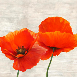 Jenny Thomlinson - Bright Poppies II