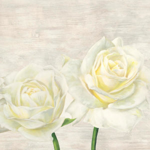 Jenny Thomlinson - Classic Roses I