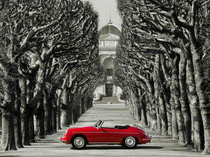 Gasoline Images - Roadster in tree lined road, Paris