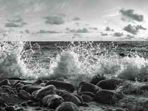 Pangea Images - Waves crashing, Point Reyes, California (BW)