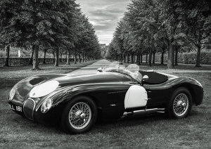 Gasoline Images - Vintage Roadster in a Park