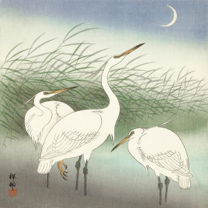 Ohara Koson - Herons in shallow water